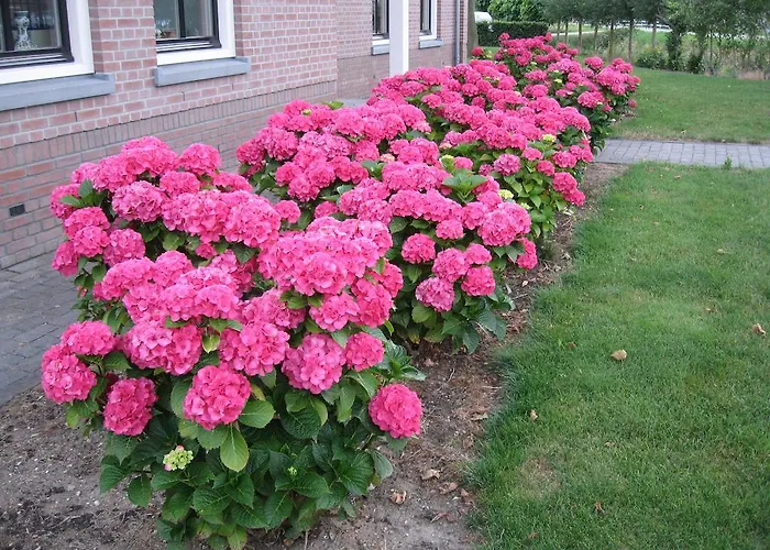 Casa de hóspedes Oostzomerland Mijnsheerenland