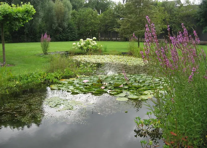 Casa de hóspedes Oostzomerland